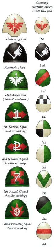 DA Co. Markings2