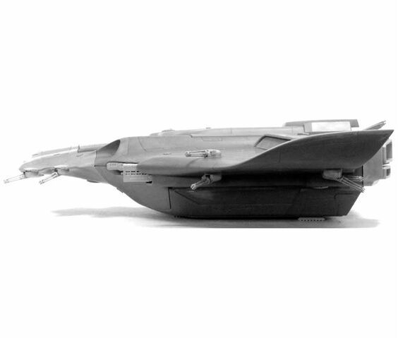 File:Manta10.jpg