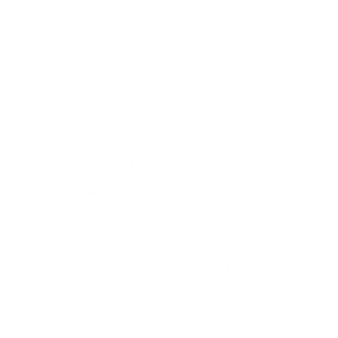 File:Star Dragons 2000x2000.png