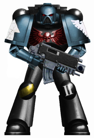 File:Accipiters Astartes.jpg