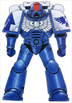 Imperial Hawks Astartes
