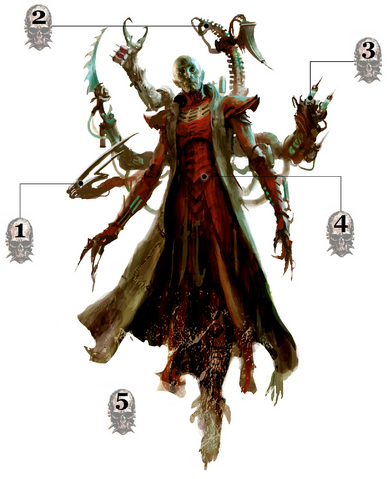 File:Haemonculus War Form.png