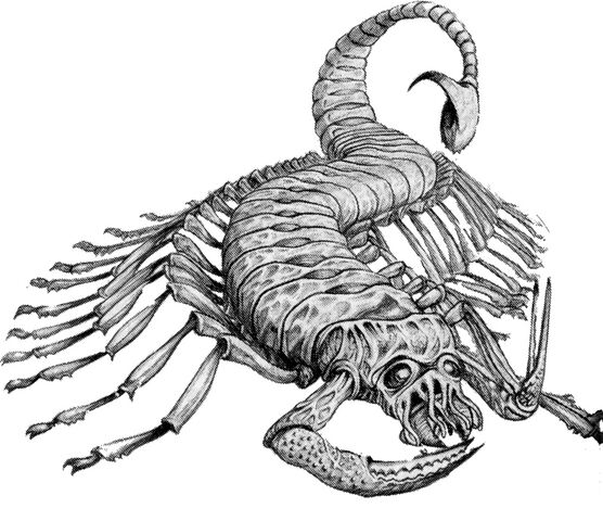 File:CatachanDevil - Old.jpg