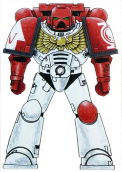 Knights Eternity Astartes