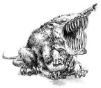Squig-herd.jpg