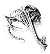 GnasherSquig.jpeg