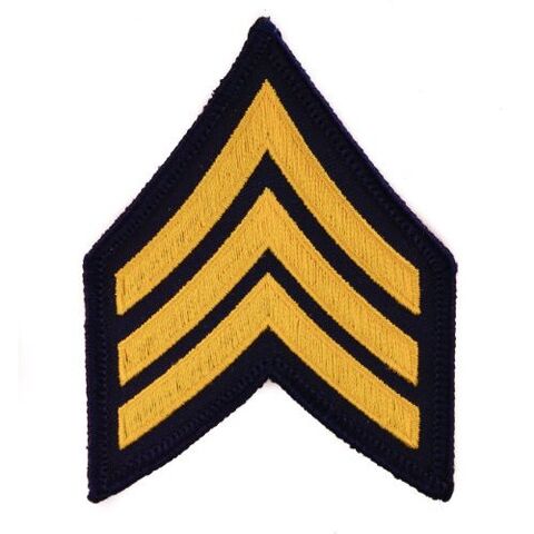 File:516N0RtJCgL. SL500 SS500 .jpg