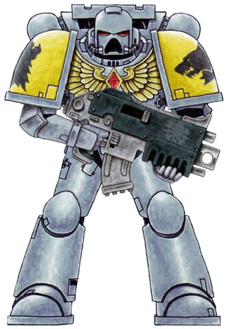 File:Space Wolves Scheme2.jpg