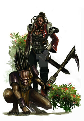 File:Sanctioned Kroot.jpg