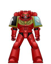 Rashamata marine 2