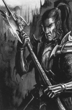 Warhammer Kouran Darkhand