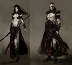 Warhammer Dark Elves Biology