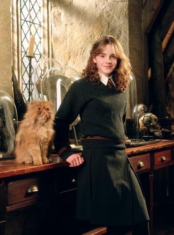 File:Prisoner-of-Azkaban-hermione-granger-3357539-443-600.jpg