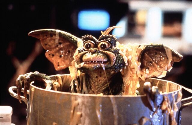 File:Daffy-gremlins-33862320-900-588.jpg