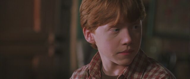 File:Harry-Potter-And-The-Chamber-Of-Secrets-ronald-weasley-17192182-1920-800.jpg