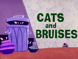 Cats and Bruises Title Card