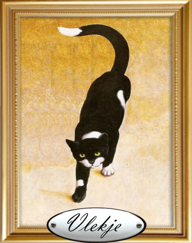 Bestand:Vlekje.png
