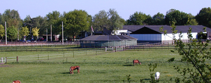 Manege.png