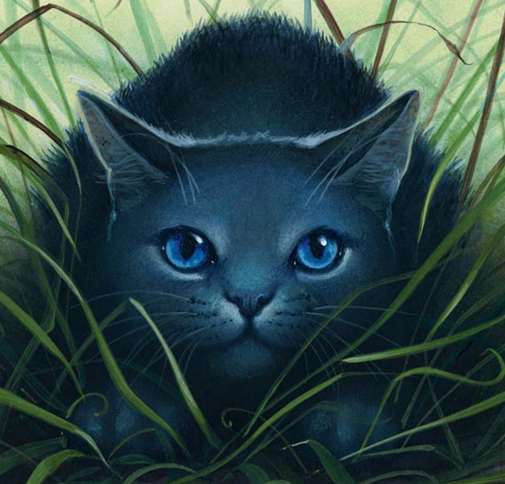 Warrior Cats Untold Tales Rogue Guide Warrior Cats Untold Tales Rogue Guide