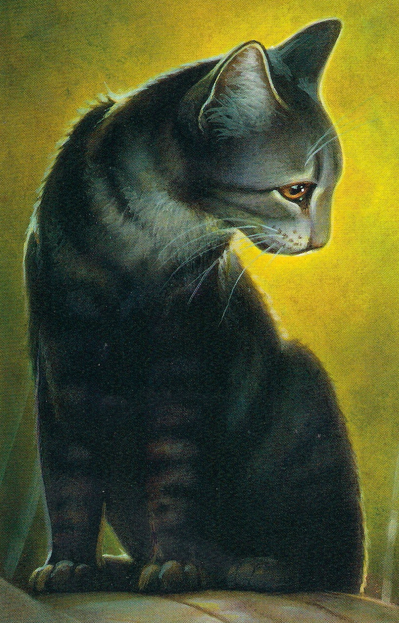 Riesenstern Warrior Cats Riesenstern Warrior Cats