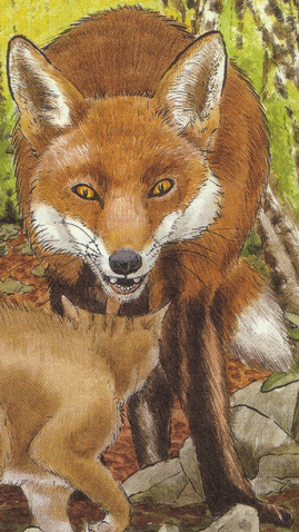 Datei:Fuchs.png