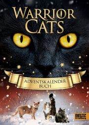 Adventskalenderbuch 2016.jpg