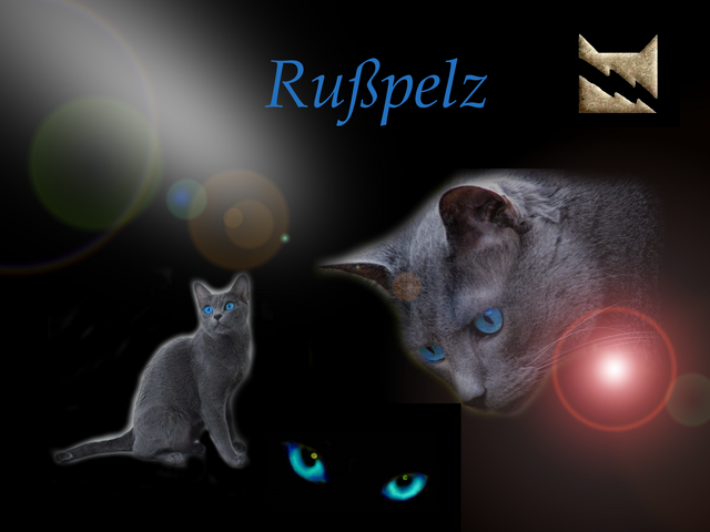 Datei:Rußpelz.Wallpaper.bySilver.fürAki.png
