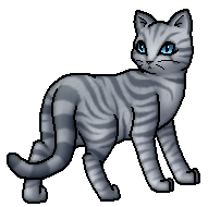 Warrior Cats Fleckenschweif Warrior Cats Fleckenschweif
