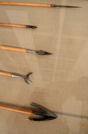 Arrowheads.jpg