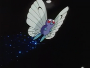 Ash Butterfree Sleep Powder