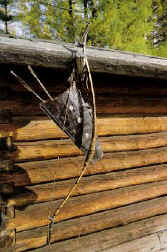 Image001