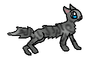 File:Graypaw.apprentice.png