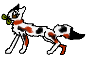 File:Hazeleye Medicine.png