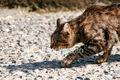 Thumbnail for version as of 16:46, April 12, 2013