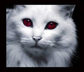 Thumbnail for version as of 20:44, July 21, 2013