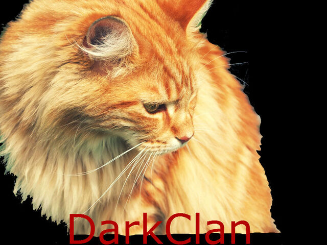 File:DarkClan.jpg