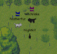 Warrior Cats Untold Tales Moss Warrior Cats Untold Tales Moss