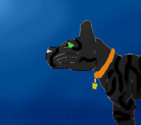 Rising Star pic
