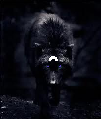 Diana wolf