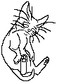 File:StarClan Kit.short.female.png