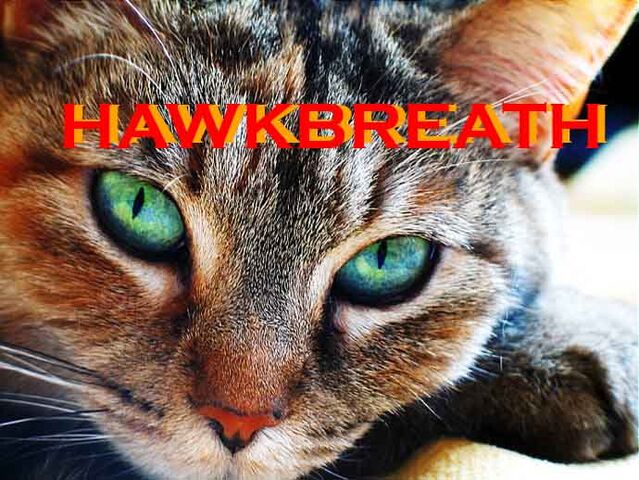 File:Hawkbreath.jpg