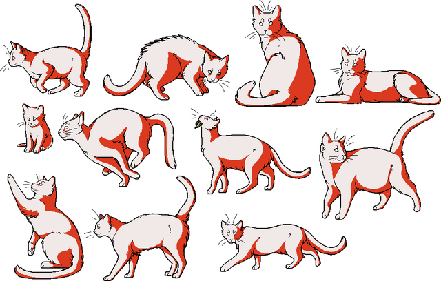 File:Shading Placement.png