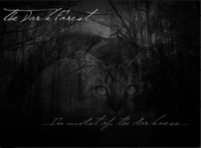 File:Dark Forest.png