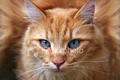Thumbnail for version as of 03:05, December 23, 2012