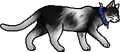 Thumbnail for version as of 23:00, March 17, 2012
