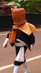 270px-P1018650wq7.jpg