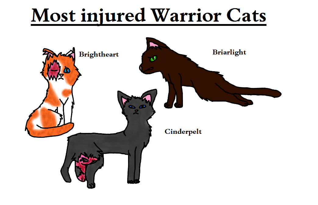 Warrior Cats Love Truth Or Dare Warrior Cats Love Truth Or Dare