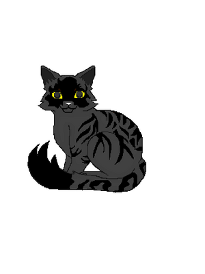 Shadowface WhiskerClan