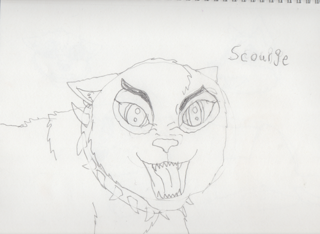 File:Scourge Sketch.png