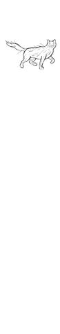 File:Whitestar.jpg